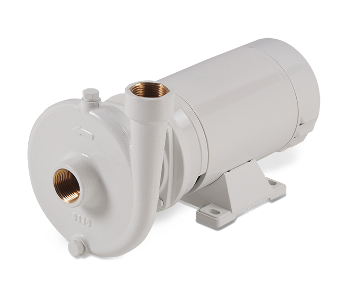 CCM SERIES - CENTRIDUGAL ELECTRIC PUMP