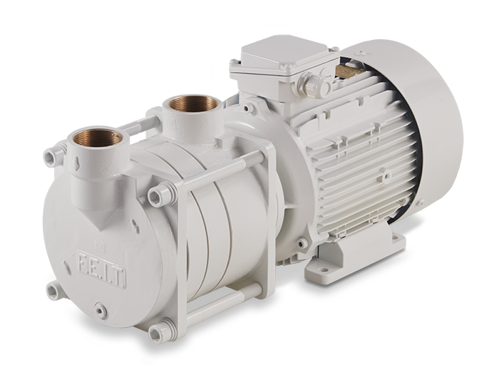 TSL 20-1 - 25-1 SERIES - SELF PRIMING ELECTRIC PUMP IN BRONZE.